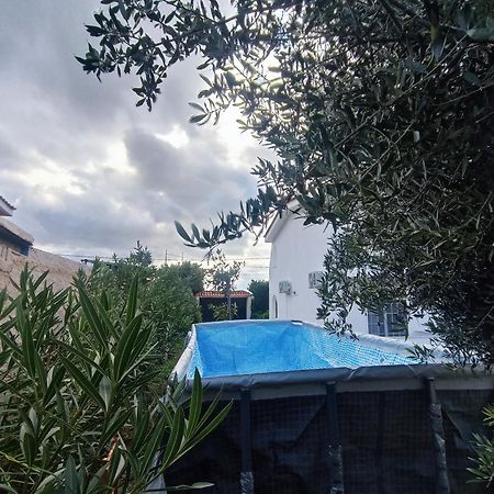 הוילה אנביסוס New Olivka House מראה חיצוני תמונה