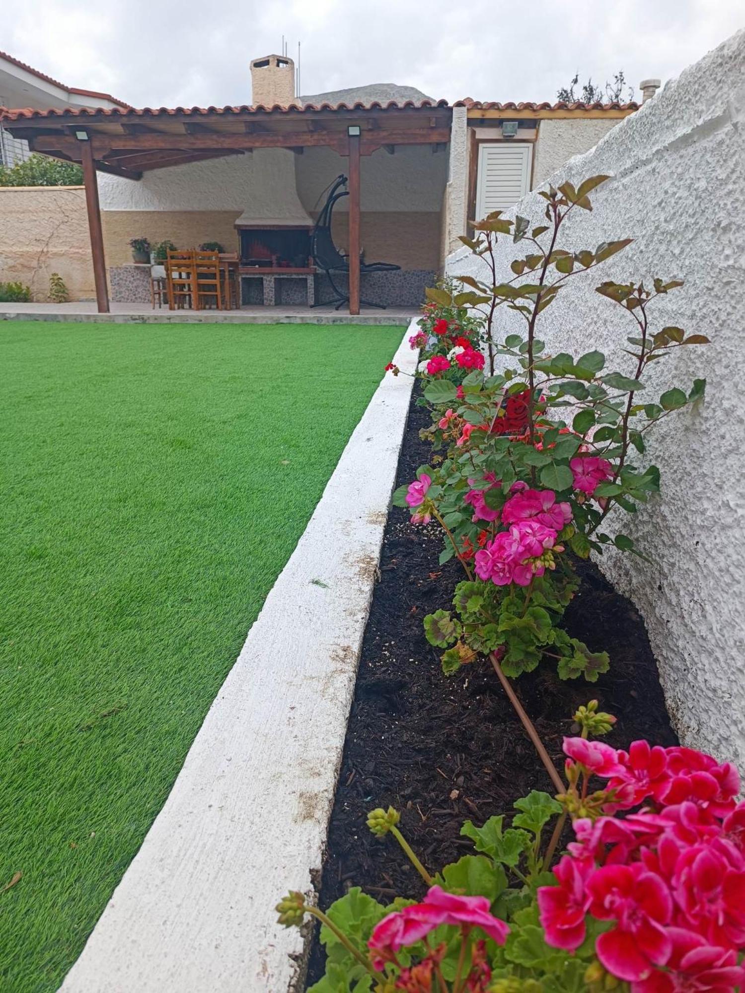 הוילה אנביסוס New Olivka House מראה חיצוני תמונה